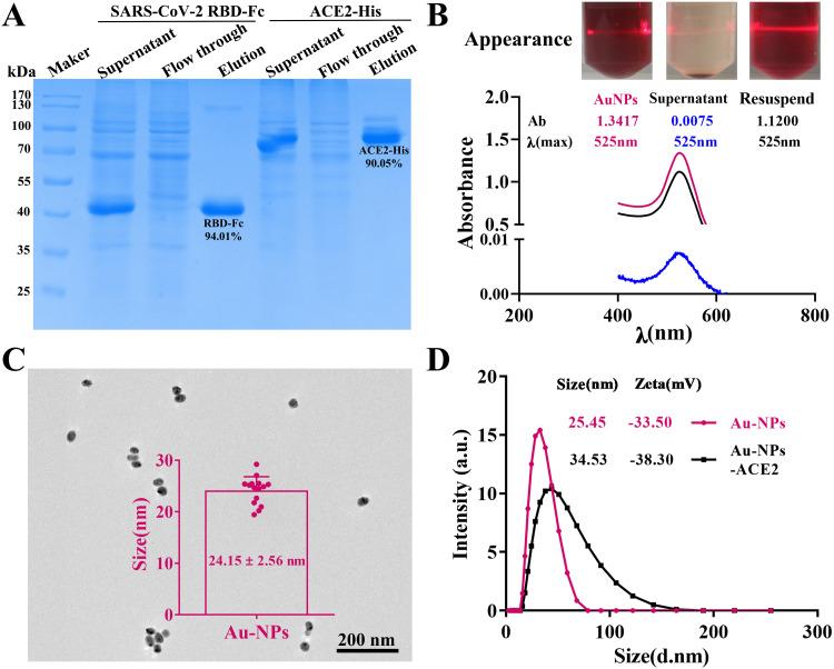 https://cdn.ncbi.nlm.nih.gov/pmc/blobs/2964/10275375/db8d7ae38826/IJN-18-3125-g0002.jpg