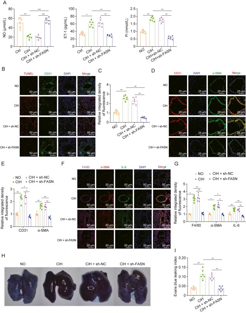 https://cdn.ncbi.nlm.nih.gov/pmc/blobs/2964/12166414/149141163e03/gr7.jpg