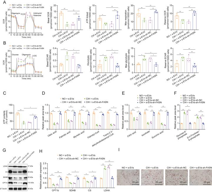 https://cdn.ncbi.nlm.nih.gov/pmc/blobs/2964/12166414/32626782e225/gr5.jpg