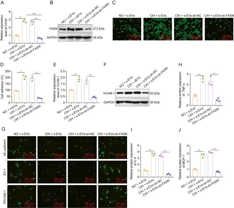 https://cdn.ncbi.nlm.nih.gov/pmc/blobs/2964/12166414/475877b2995e/gr6.jpg
