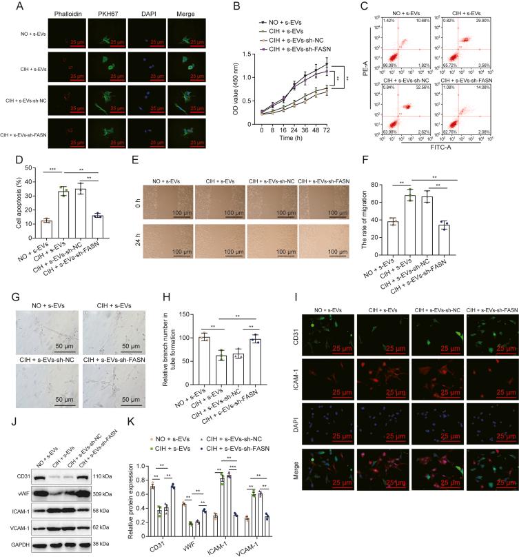 https://cdn.ncbi.nlm.nih.gov/pmc/blobs/2964/12166414/c15282bec808/gr3.jpg