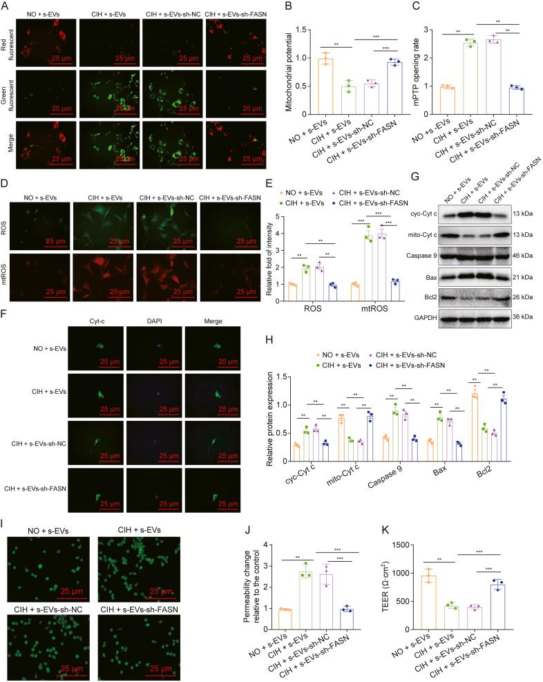 https://cdn.ncbi.nlm.nih.gov/pmc/blobs/2964/12166414/d68eb636fbbc/gr4.jpg