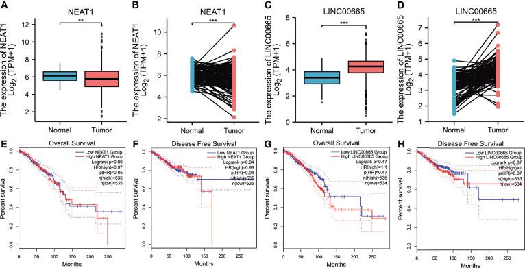 https://cdn.ncbi.nlm.nih.gov/pmc/blobs/2964/8692298/0815a9f35b47/fonc-11-777037-g006.jpg