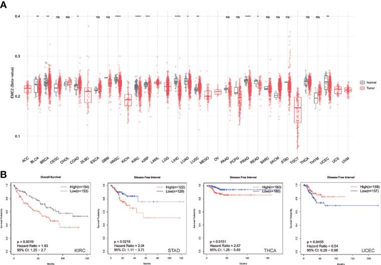 https://cdn.ncbi.nlm.nih.gov/pmc/blobs/2964/8692298/894c290e6a4c/fonc-11-777037-g004.jpg