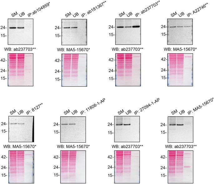 https://cdn.ncbi.nlm.nih.gov/pmc/blobs/2965/12174638/55ae61302324/f1000research-13-171489-g0001.jpg