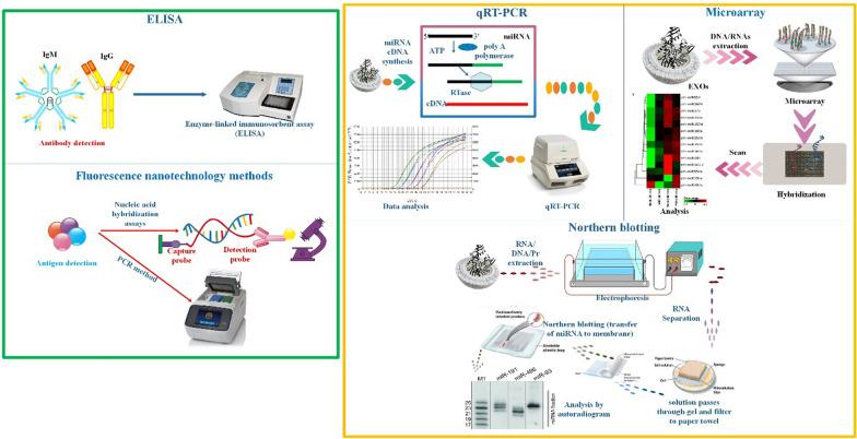 https://cdn.ncbi.nlm.nih.gov/pmc/blobs/2966/10829349/18404bd8e657/12985_2024_2301_Fig5_HTML.jpg