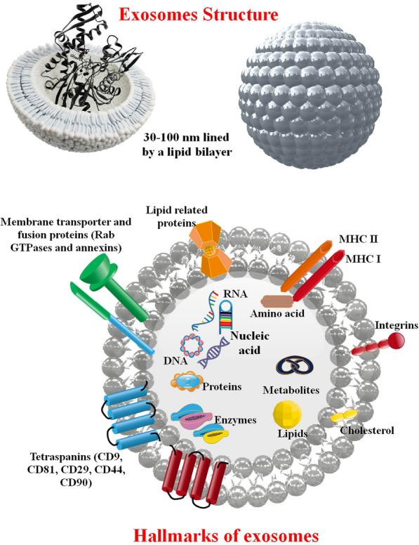 https://cdn.ncbi.nlm.nih.gov/pmc/blobs/2966/10829349/2050cf0215a9/12985_2024_2301_Fig2_HTML.jpg