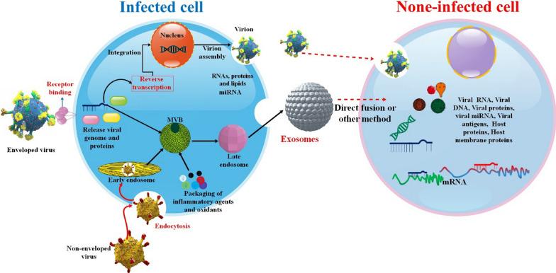 https://cdn.ncbi.nlm.nih.gov/pmc/blobs/2966/10829349/ba15cd4a35d3/12985_2024_2301_Fig3_HTML.jpg