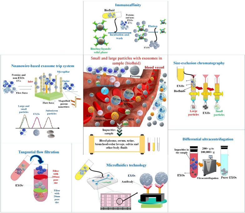 https://cdn.ncbi.nlm.nih.gov/pmc/blobs/2966/10829349/eb9c955ad90c/12985_2024_2301_Fig4_HTML.jpg