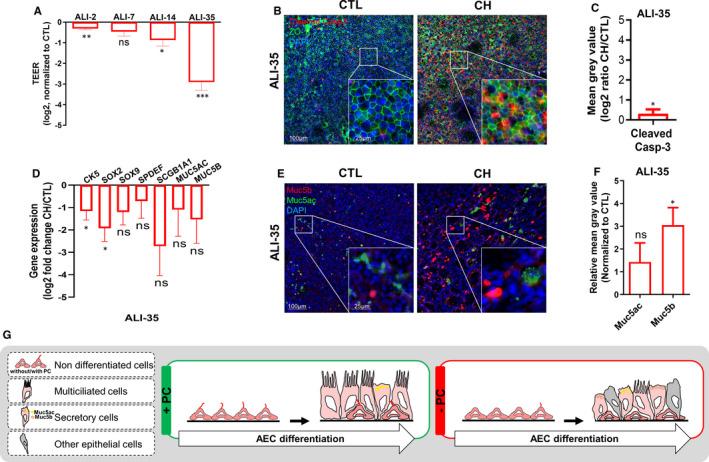https://cdn.ncbi.nlm.nih.gov/pmc/blobs/2966/8335676/b9a60af0cfd9/JCMM-25-7575-g001.jpg