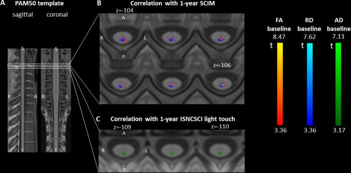 https://cdn.ncbi.nlm.nih.gov/pmc/blobs/2967/8522459/36394140f21b/jnnp-2021-326337f05.jpg