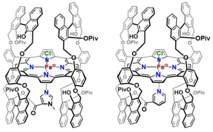 https://cdn.ncbi.nlm.nih.gov/pmc/blobs/2967/9332324/2564628fe575/molecules-27-04690-g006.jpg