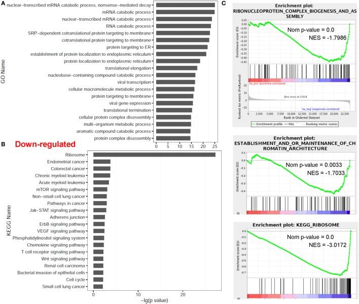 https://cdn.ncbi.nlm.nih.gov/pmc/blobs/2968/5466981/d542355656ab/fimmu-08-00682-g003.jpg