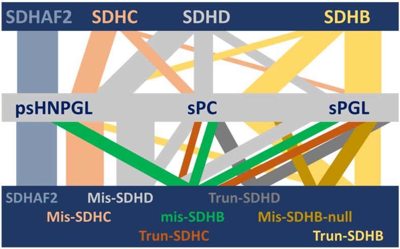 https://cdn.ncbi.nlm.nih.gov/pmc/blobs/2968/9222429/8be613da5518/genes-13-01025-g001.jpg