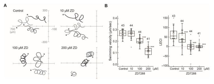 https://cdn.ncbi.nlm.nih.gov/pmc/blobs/2969/8835908/d42ed3c6509f/ijms-23-01648-g006.jpg