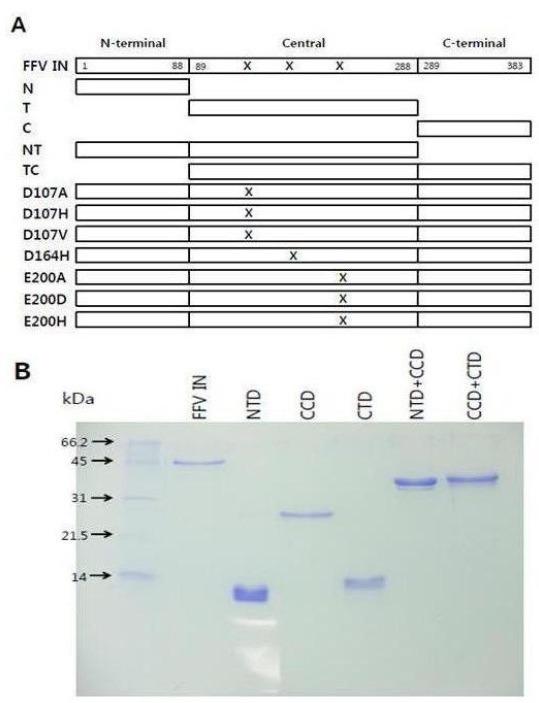 https://cdn.ncbi.nlm.nih.gov/pmc/blobs/296a/4133822/b6002033b99b/BMB-46-53-g0001.jpg