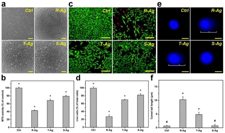 https://cdn.ncbi.nlm.nih.gov/pmc/blobs/296a/9145553/568942a7e57c/pharmaceutics-14-00981-g005.jpg