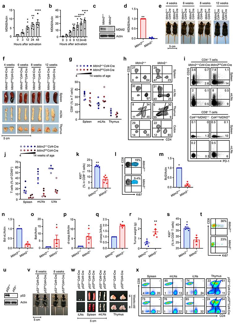 https://cdn.ncbi.nlm.nih.gov/pmc/blobs/296b/8026726/099a692ed7fa/nihms-1667200-f0008.jpg