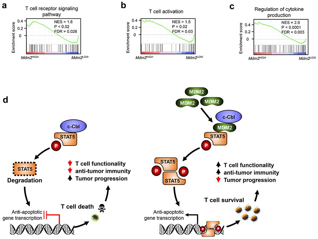 https://cdn.ncbi.nlm.nih.gov/pmc/blobs/296b/8026726/4ced6ed94b82/nihms-1667200-f0014.jpg