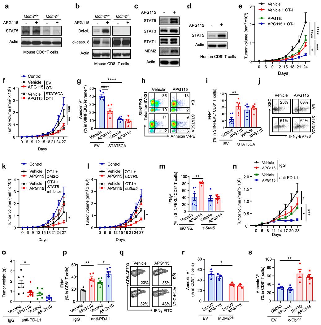 https://cdn.ncbi.nlm.nih.gov/pmc/blobs/296b/8026726/e087407e1cf2/nihms-1667200-f0006.jpg