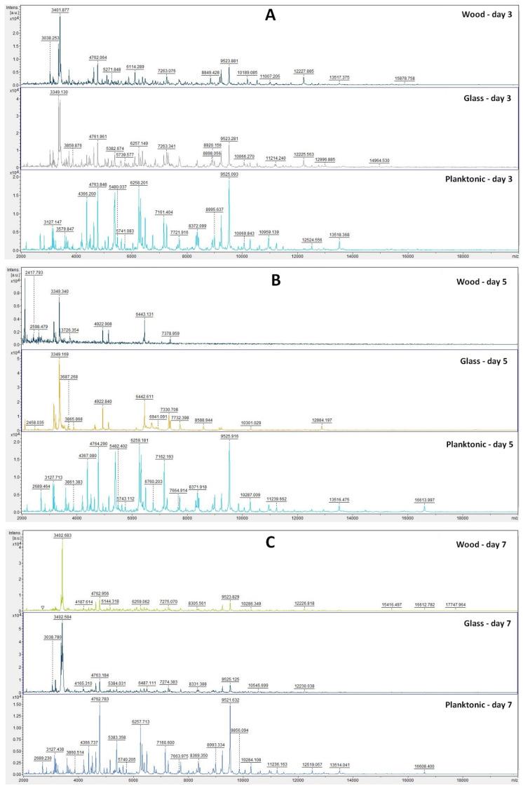 https://cdn.ncbi.nlm.nih.gov/pmc/blobs/296c/8880210/67b928898e36/plants-11-00558-g003a.jpg