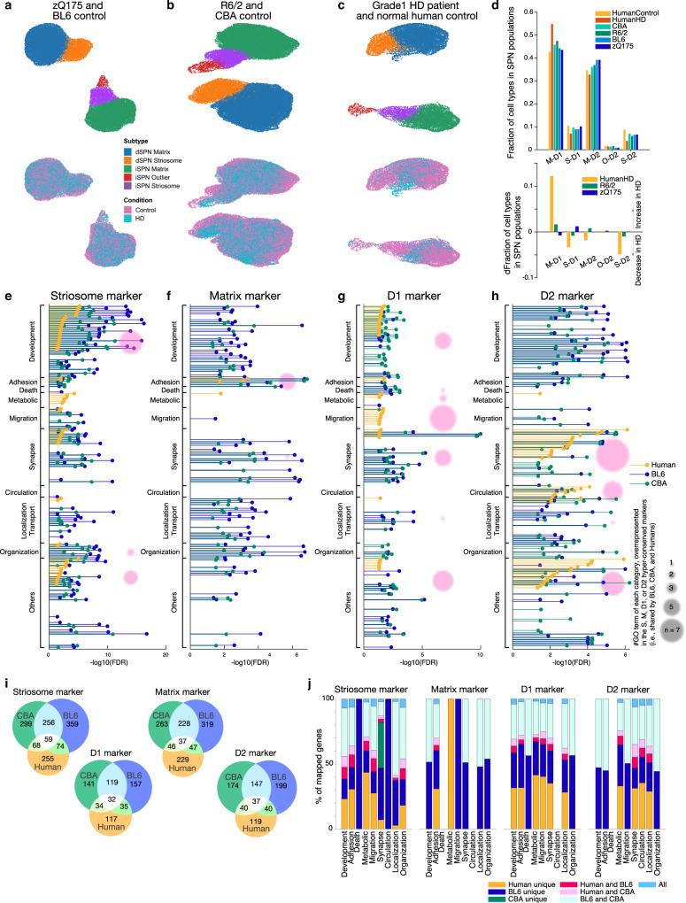 https://cdn.ncbi.nlm.nih.gov/pmc/blobs/296d/9845362/1f980f4d9e2d/41467_2022_35752_Fig1_HTML.jpg