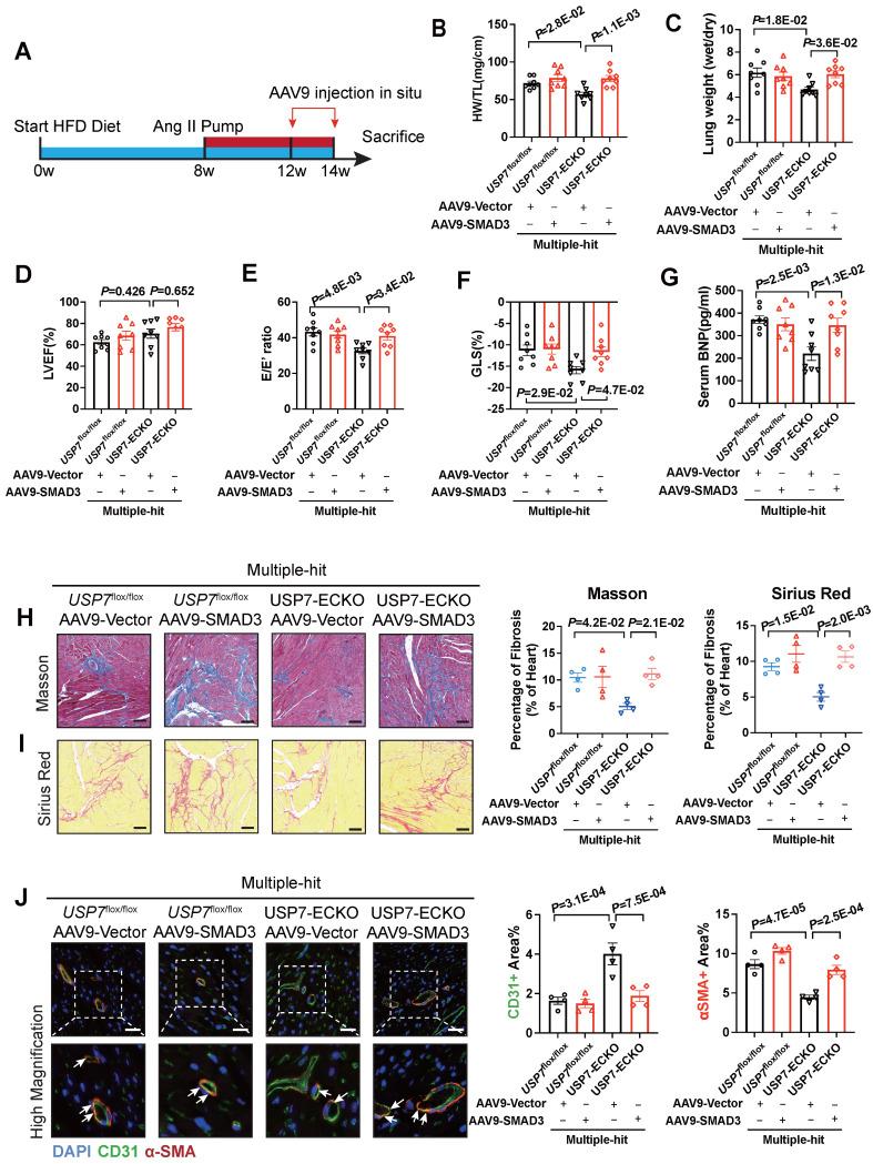 https://cdn.ncbi.nlm.nih.gov/pmc/blobs/296e/11426239/4111a336b672/thnov14p5793g007.jpg