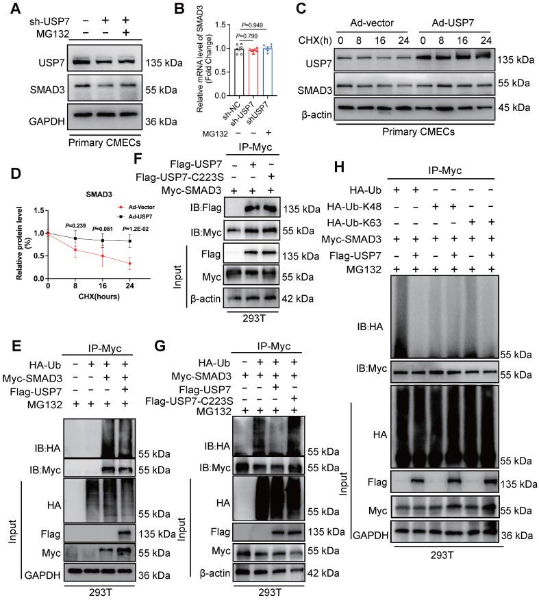 https://cdn.ncbi.nlm.nih.gov/pmc/blobs/296e/11426239/56b12e8e598a/thnov14p5793g005.jpg