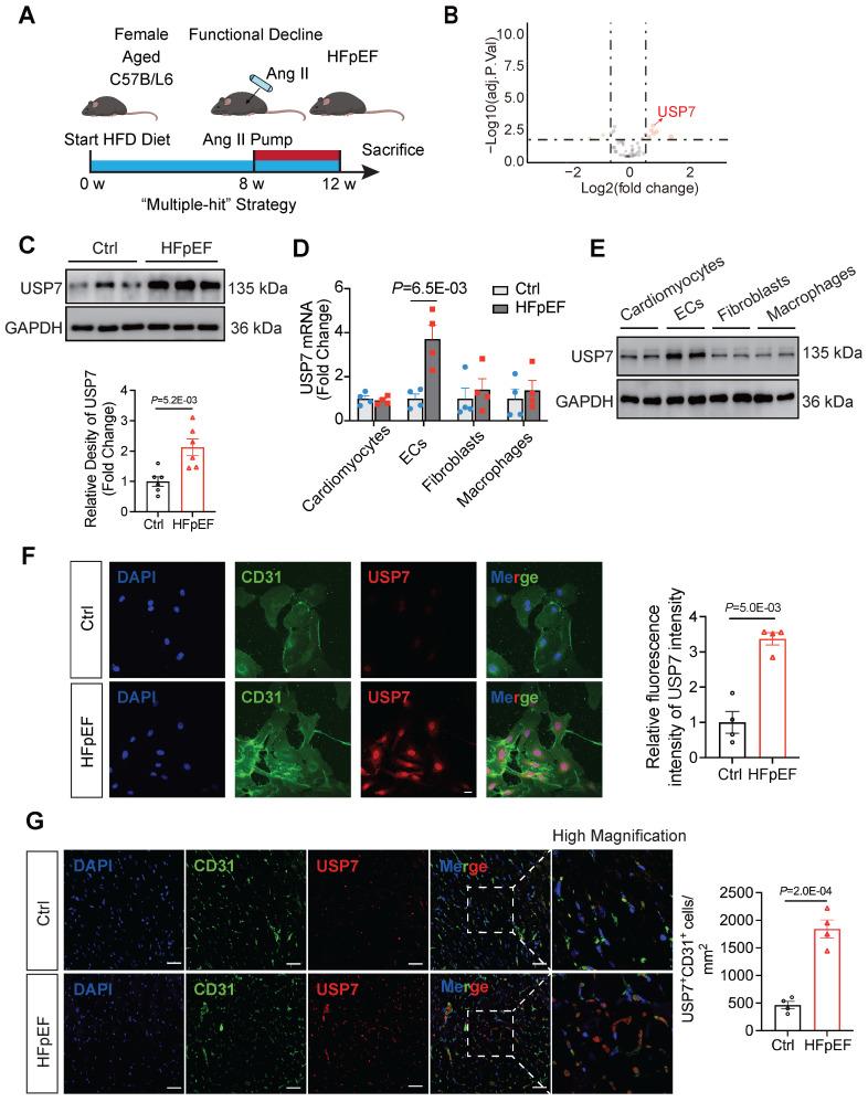 https://cdn.ncbi.nlm.nih.gov/pmc/blobs/296e/11426239/9fff595cd766/thnov14p5793g001.jpg