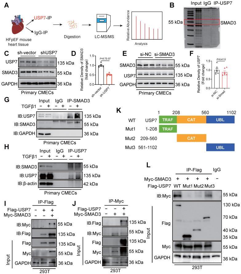 https://cdn.ncbi.nlm.nih.gov/pmc/blobs/296e/11426239/c39f7187e4e2/thnov14p5793g004.jpg