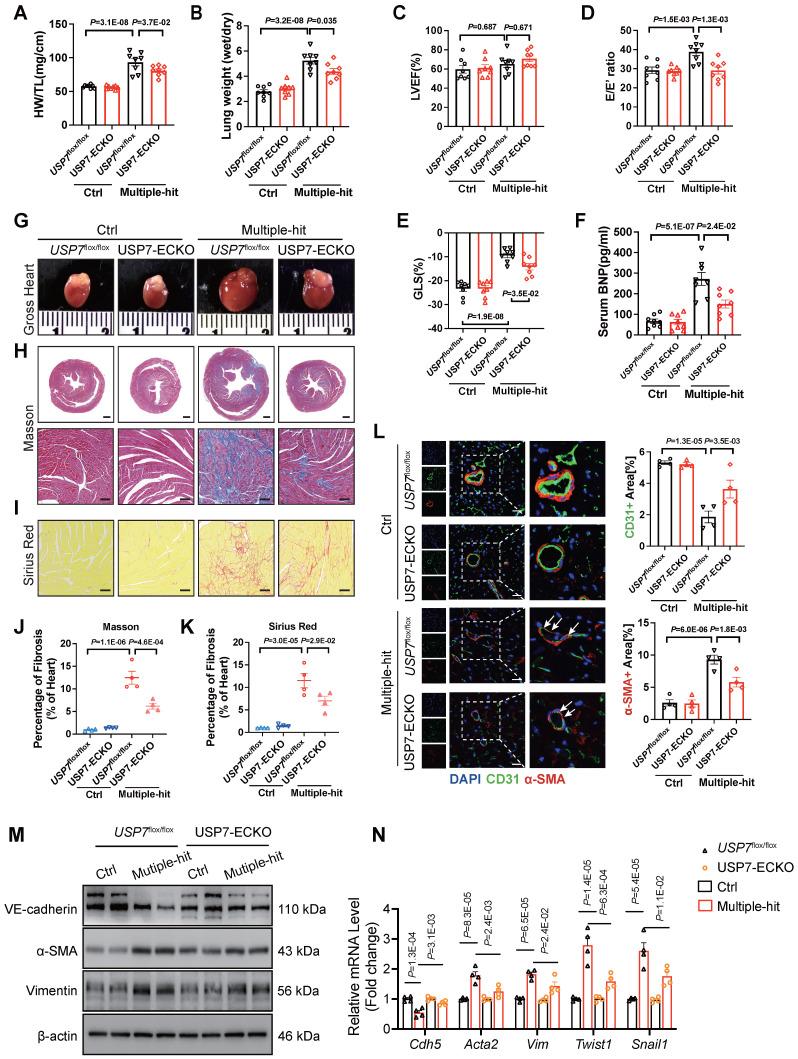 https://cdn.ncbi.nlm.nih.gov/pmc/blobs/296e/11426239/fe56a3042e50/thnov14p5793g002.jpg