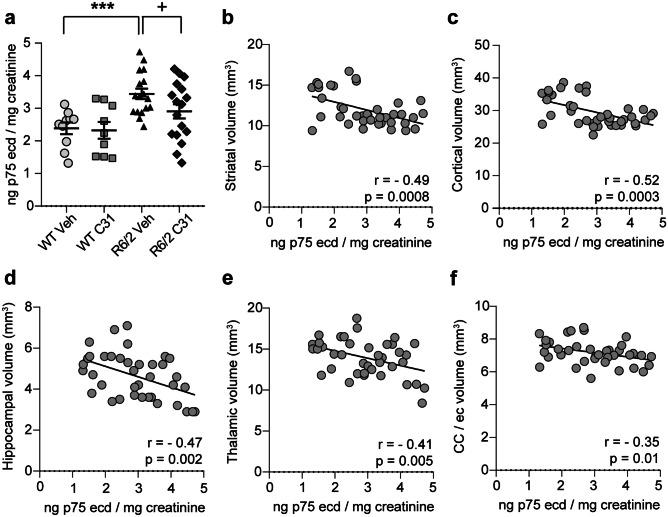 https://cdn.ncbi.nlm.nih.gov/pmc/blobs/2971/8423954/7496687154d8/13311_2021_1023_Fig9_HTML.jpg