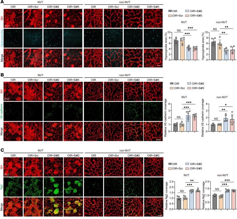 https://cdn.ncbi.nlm.nih.gov/pmc/blobs/2972/12128960/c04d08f990ae/jciinsight-10-187836-g167.jpg