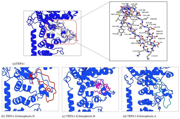 https://cdn.ncbi.nlm.nih.gov/pmc/blobs/2973/11508972/2acc42b03ca5/ijms-25-11290-g008.jpg