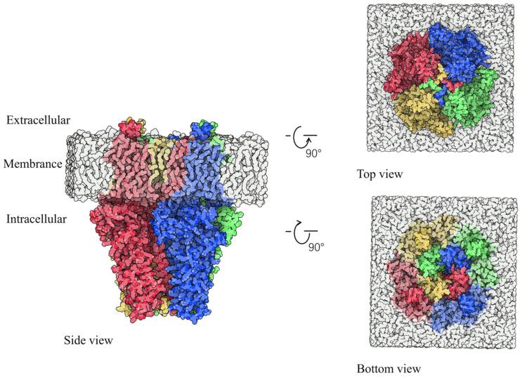 https://cdn.ncbi.nlm.nih.gov/pmc/blobs/2973/11508972/b73df7bc05ae/ijms-25-11290-g002.jpg