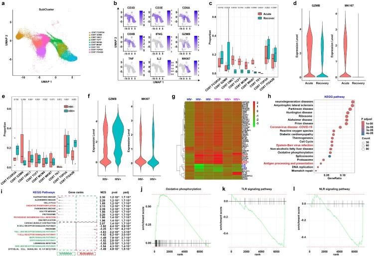https://cdn.ncbi.nlm.nih.gov/pmc/blobs/2973/11809181/2e8a3207d15c/TEMI_A_2459136_F0003_OC.jpg