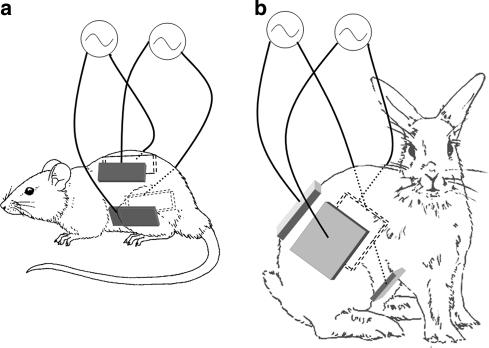 https://cdn.ncbi.nlm.nih.gov/pmc/blobs/2973/2776150/4c691054f4eb/10585_2009_9262_Fig1_HTML.jpg