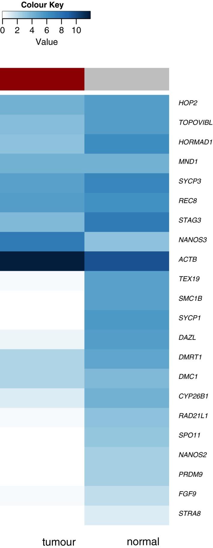 https://cdn.ncbi.nlm.nih.gov/pmc/blobs/2975/6766858/2fabb77f52d4/ANDR-7-415-g004.jpg
