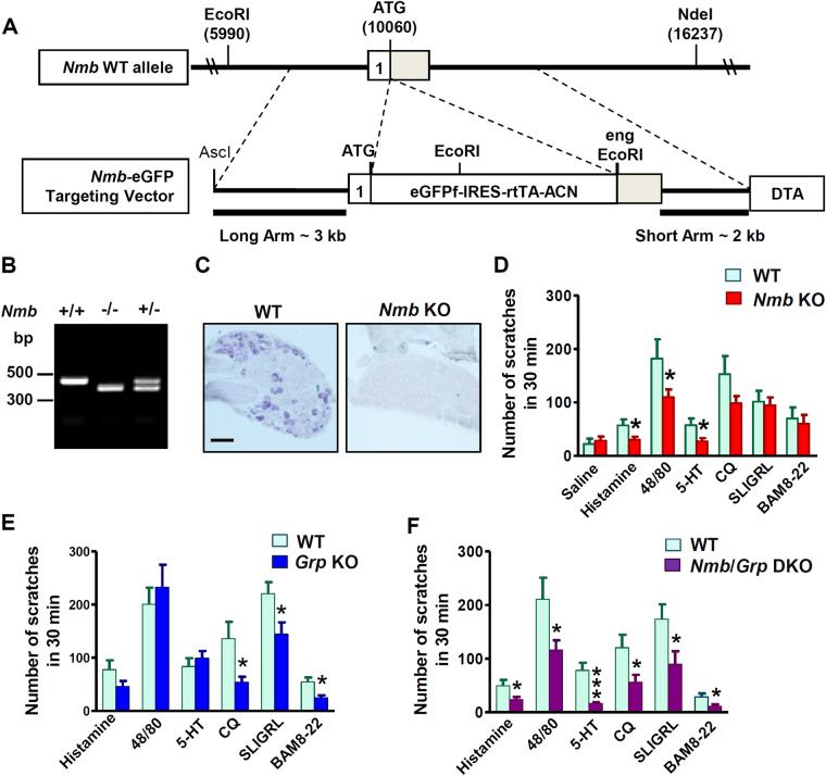 https://cdn.ncbi.nlm.nih.gov/pmc/blobs/2977/5684337/46b0be331bfa/41598_2017_15756_Fig1_HTML.jpg