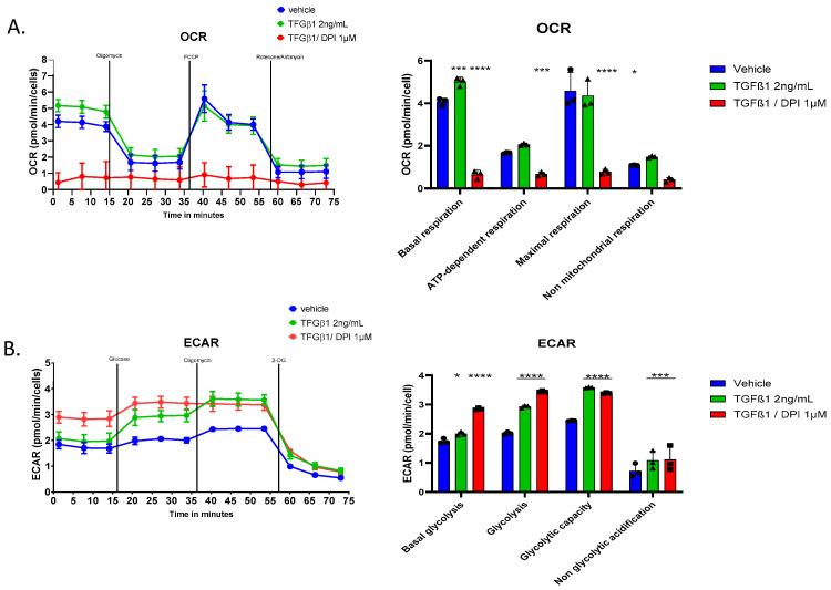 https://cdn.ncbi.nlm.nih.gov/pmc/blobs/2978/12024386/17d8076060e3/antioxidants-14-00486-g006.jpg