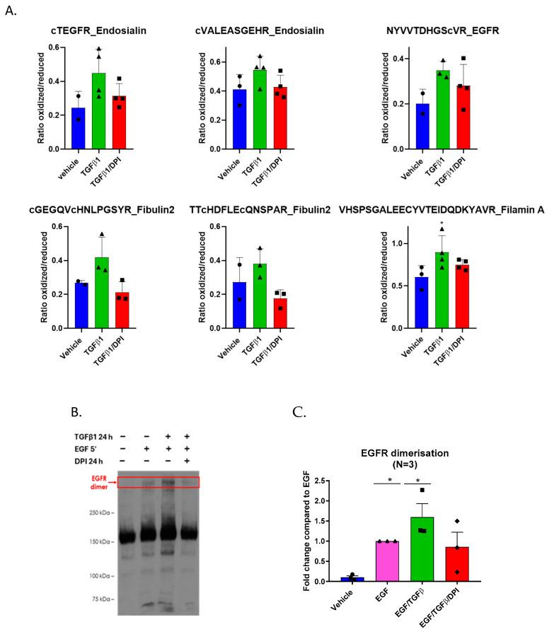 https://cdn.ncbi.nlm.nih.gov/pmc/blobs/2978/12024386/4a65178e15a6/antioxidants-14-00486-g004.jpg