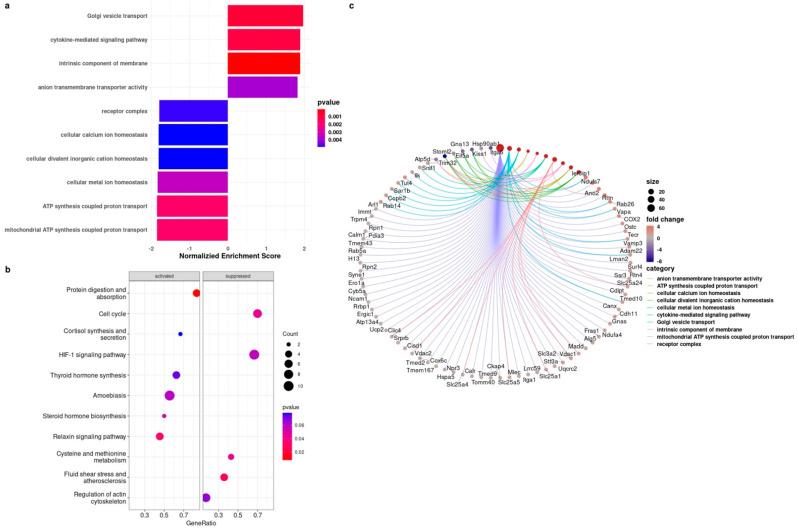 https://cdn.ncbi.nlm.nih.gov/pmc/blobs/2979/9495822/3770b5170fe4/biology-11-01253-g004.jpg