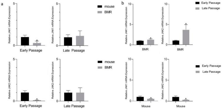 https://cdn.ncbi.nlm.nih.gov/pmc/blobs/2979/9495822/801e0169dac7/biology-11-01253-g002.jpg