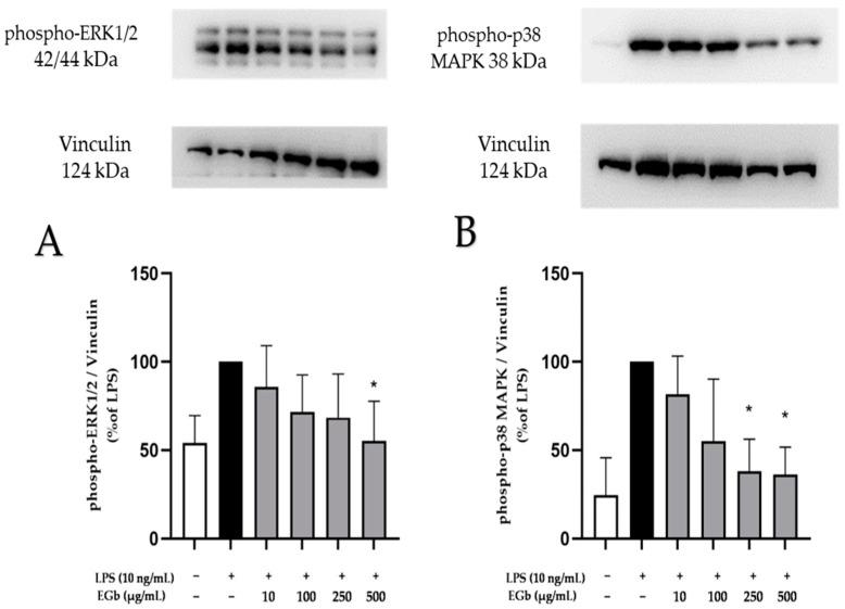 https://cdn.ncbi.nlm.nih.gov/pmc/blobs/297c/11312056/c338604ce6d2/ijms-25-08108-g008.jpg