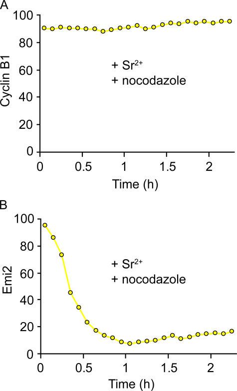 https://cdn.ncbi.nlm.nih.gov/pmc/blobs/297d/2064334/45a9b5c6bf66/jcb1740791f03.jpg
