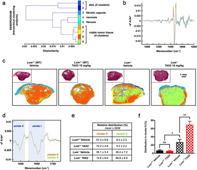 https://cdn.ncbi.nlm.nih.gov/pmc/blobs/2987/5550434/aadd6165771b/41598_2017_7043_Fig5_HTML.jpg