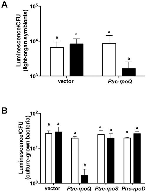 https://cdn.ncbi.nlm.nih.gov/pmc/blobs/2988/3252764/006ba26292fb/mbo0011212130005.jpg