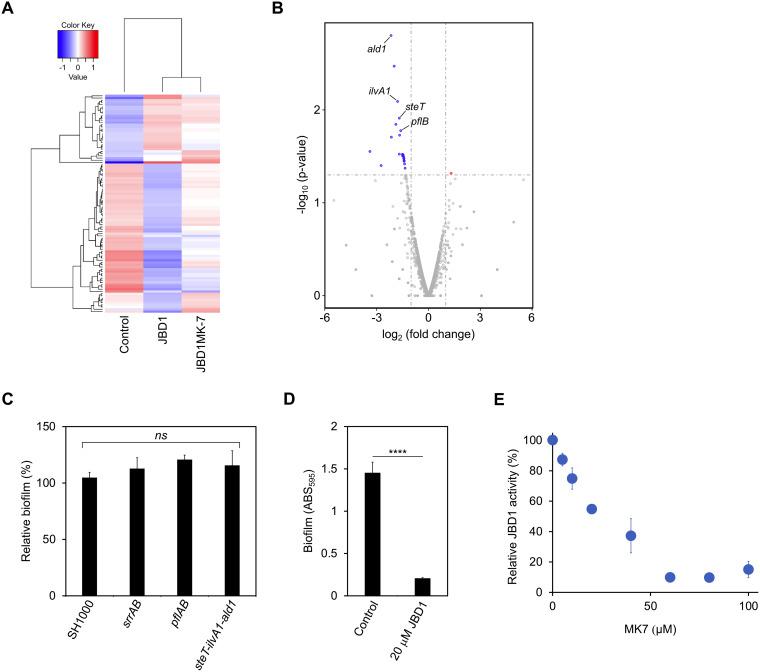 https://cdn.ncbi.nlm.nih.gov/pmc/blobs/2988/9426486/523fa7d667f1/mbio.00845-22-f003.jpg