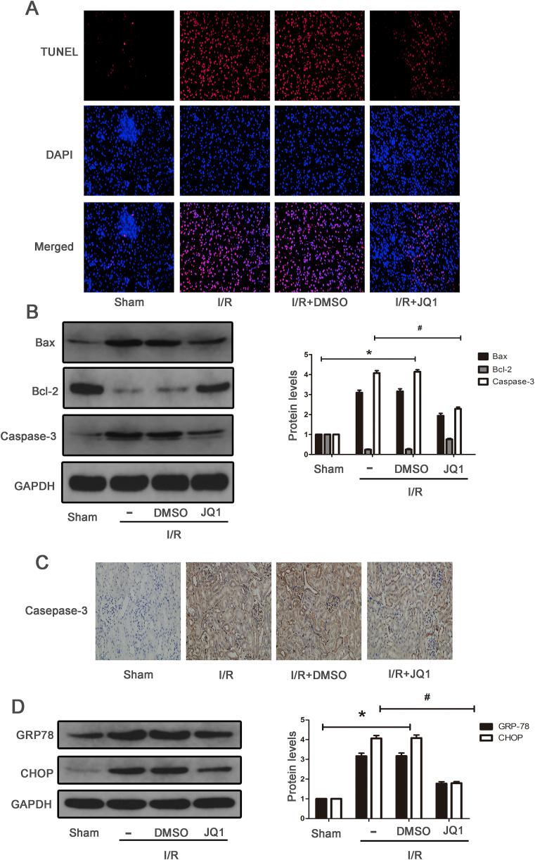 https://cdn.ncbi.nlm.nih.gov/pmc/blobs/2989/6475721/07ee983ec689/gr3.jpg