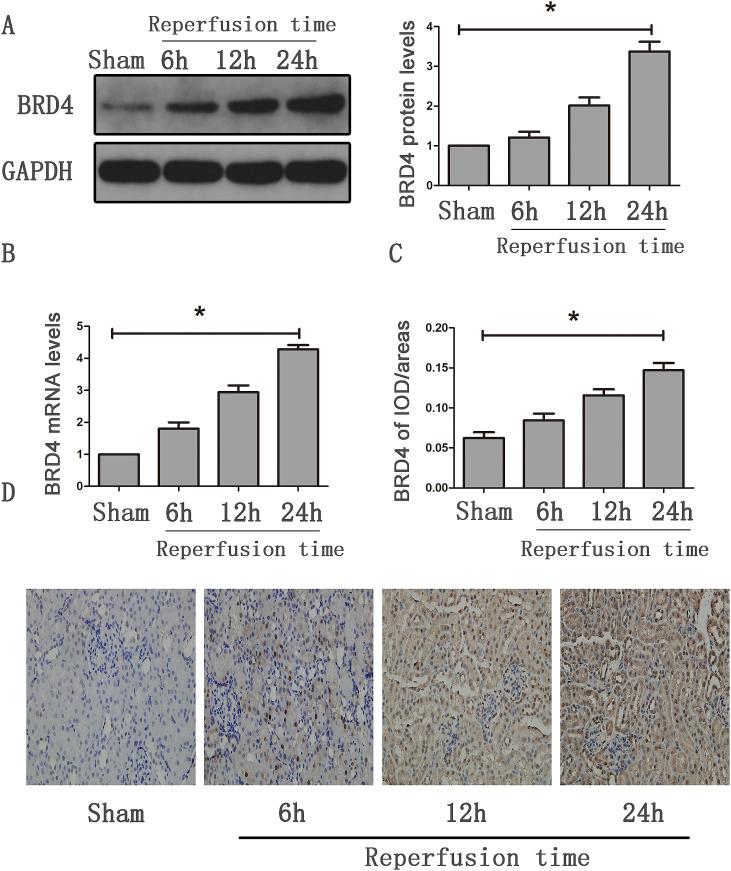 https://cdn.ncbi.nlm.nih.gov/pmc/blobs/2989/6475721/1b7ed37810bd/gr1.jpg